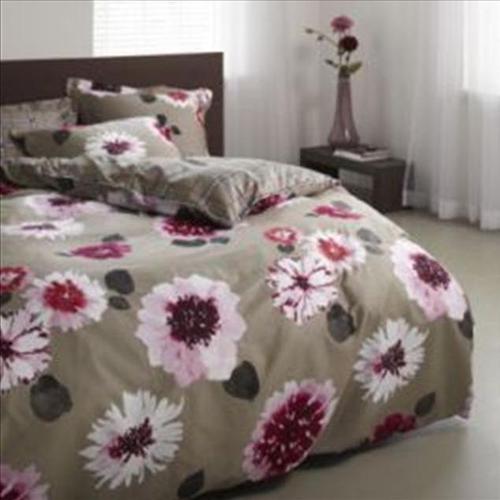 allison-colour-multi