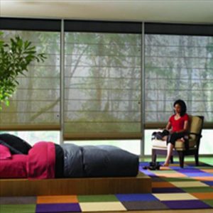 designer-screen-shades-6