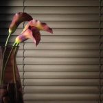 modern-precious-metals-3